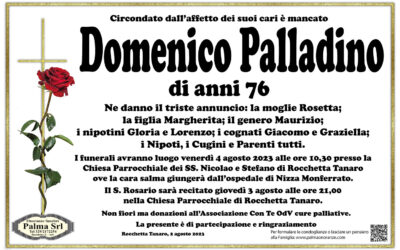 Domenico Palladino