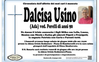 Dalcisa Usino